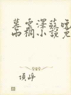 慕云泽苏晚晴夏雨桐小说免费阅读