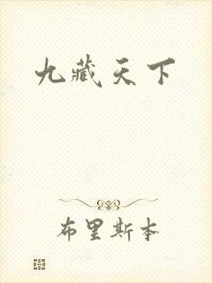 九藏天下