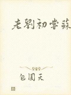 老刘初尝苏荷媳