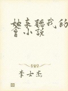 她来听我的演唱会小说