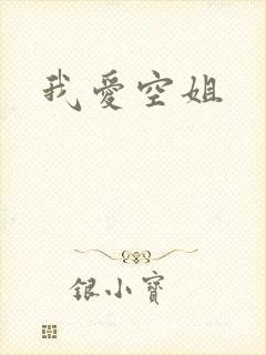 我爱空姐