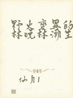 野火变异的父爱林晚林潮生