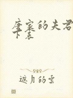 唐家的夫君们帘下衾