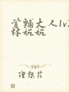 首辅大人1v2林婉婉