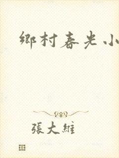 乡村春光小说