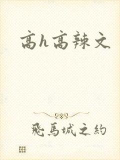 高h高辣文