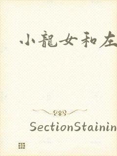 小龙女和左剑清