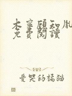 木宁顾知胤小说免费阅读