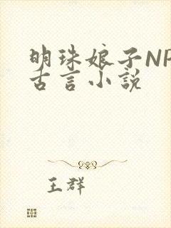 明珠娘子NPC古言小说