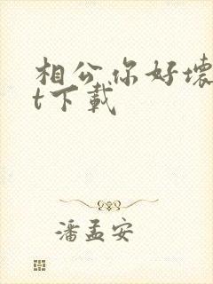 相公你好坏txt下载