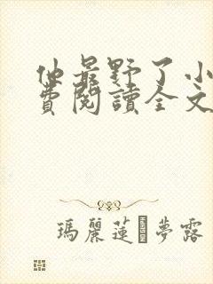 他最野了小说免费阅读全文