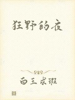 狂野的夜