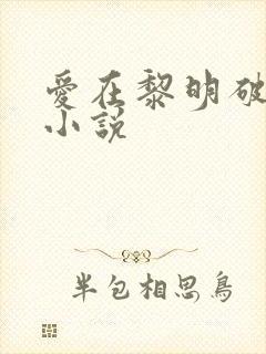 爱在黎明破晓前小说