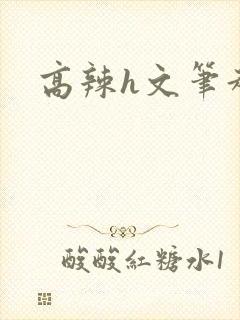 高辣h文笔趣阁