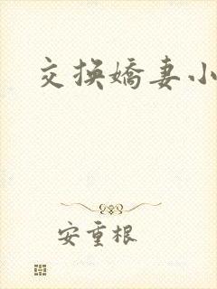 交换娇妻小说