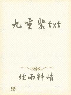 九重紫txt
