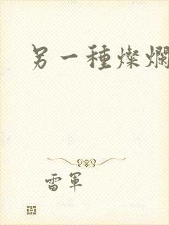 另一种灿烂生活