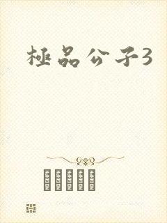 极品公子3