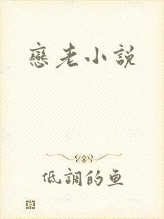 恋老小说