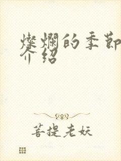 灿烂的季节剧情介绍