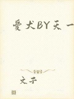 爱犬BY天一