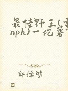 最佳野王(电竞nph)一坨薯饼