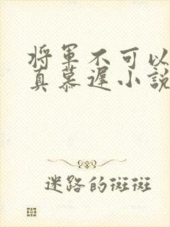 将军不可以魏云真慕迟小说笔趣阁