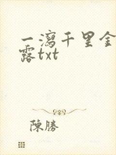 一泻千里金银花露txt