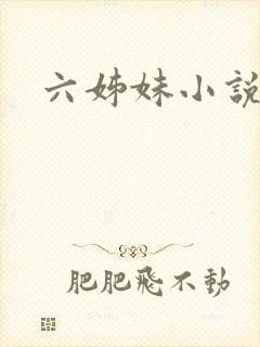 六姊妹小说
