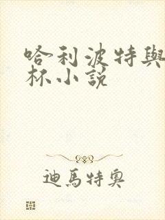 哈利波特与火焰杯小说