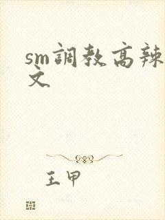 sm调教高辣h文