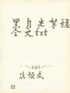 黑月光拿稳小说全文txt