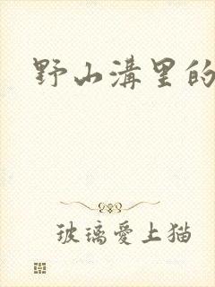 野山沟里的村庄