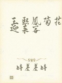 王熙凤菊花门初迎来客