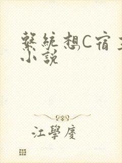 系统想C宿主的小说