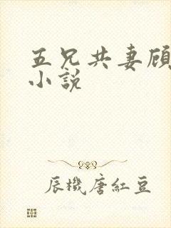 五兄共妻顾心儿小说