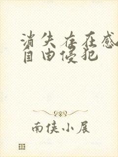 消失存在感消失自由侵犯