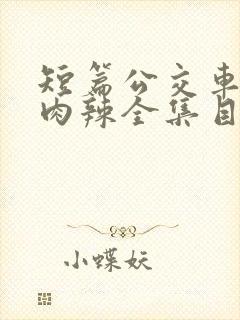 短篇公交车高h肉辣全集目录