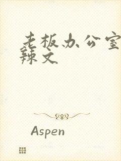 老板办公室系列辣文