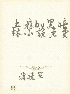 上瘾by黑暗森林小说免费