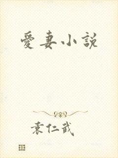爱妻小说