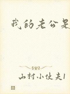 我的老公是冥王