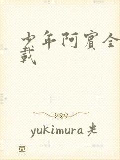 少年阿宾全集下载