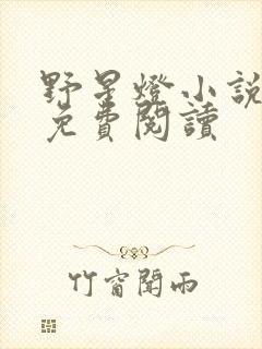 野星灯小说全文免费阅读