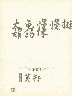 大龟慢慢挺进张娟的休