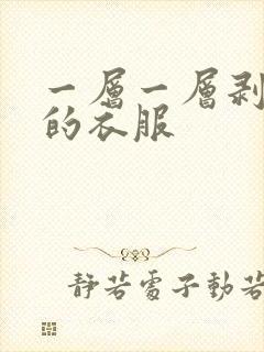 一层一层剥开你的衣服