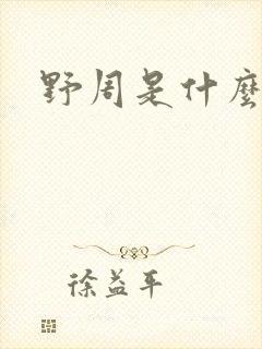 野周是什么意思