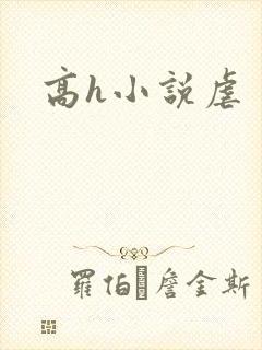 高h小说虐