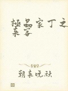 极品家丁之远方来客