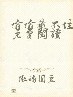 偷偷藏不住小说免费阅读